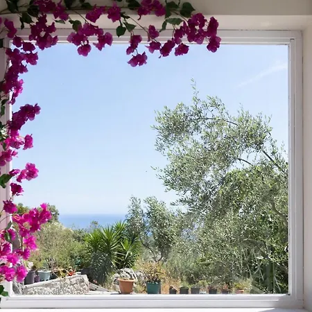 Adriana's House Kardamyli Prosilio Dom wakacyjny Prosilio (Peloponnese)