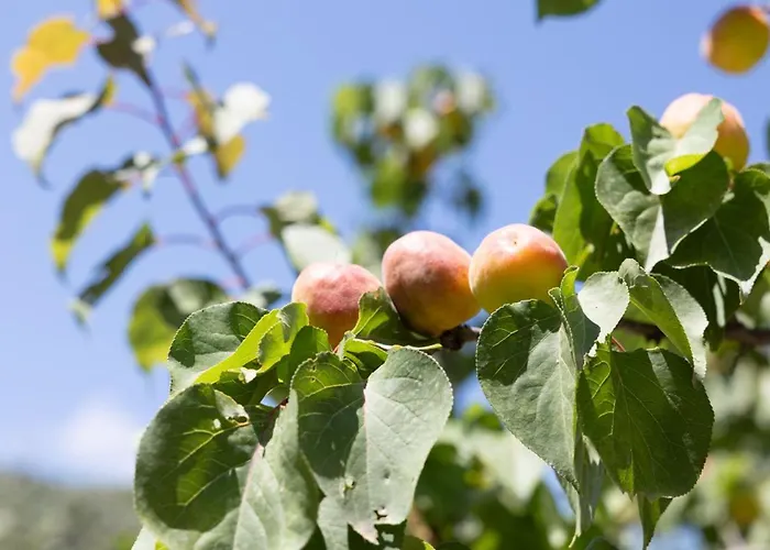 Vakantiehuis Adriana's House Kardamyli Prosilio Prosilio (Peloponnese)